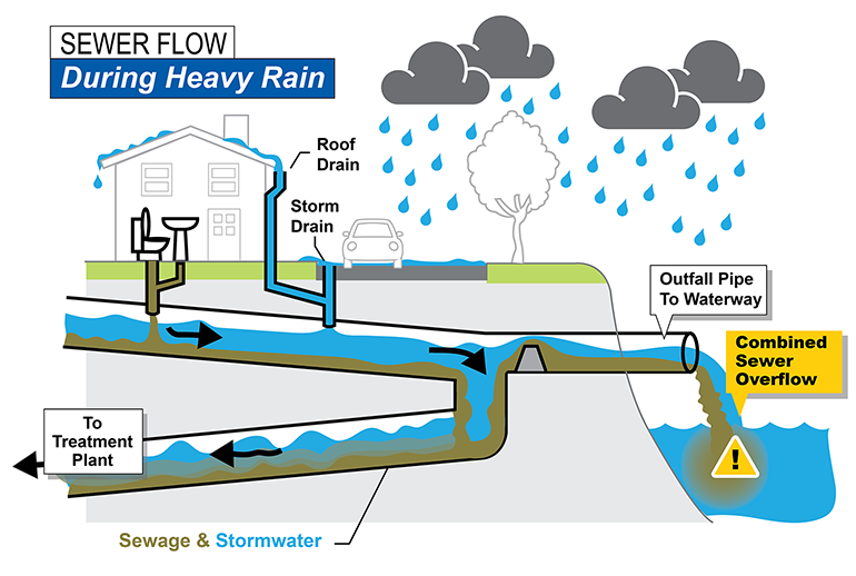 During heavy rain, sewage and stormwater can overflow into a nearby body of water.