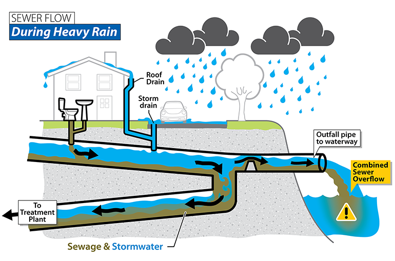 During heavy rain, sewage and stormwater can overlow into a nearby body of water.